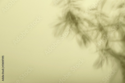 Shadow of tropical leaves o...