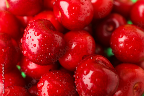 Wallpaper Mural Sweet ripe cherries with water drops as background, closeup Torontodigital.ca
