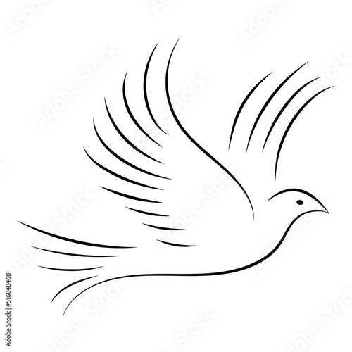 Dove symbol peace on the pl...
