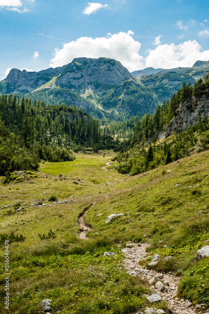 A narrow footpath winding through an alpine valley.