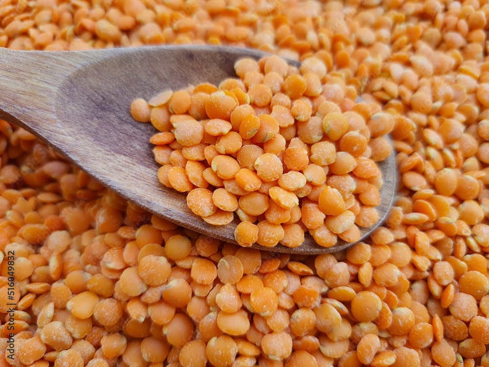 Orange lentils, also known as Syrian lentils, with a wooden spoon. Orange lentils, also known as Syrian lentils, with a wooden spoon.