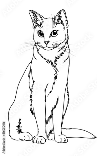 A smiling white fluffy cat drawing, sitting and looking forward, isolated on the white background