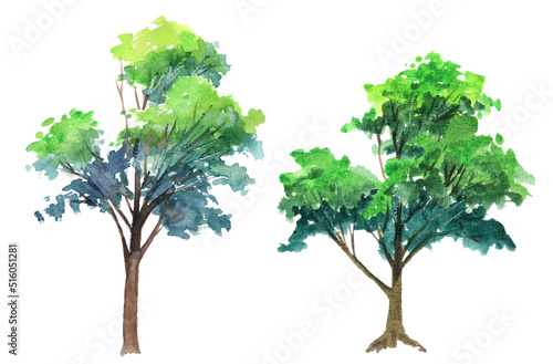 A set of watercolor trees sketch on white background. Traditional artwork  template