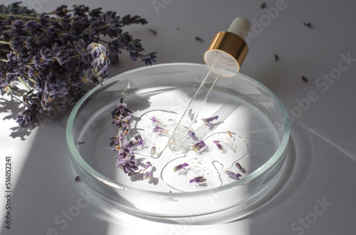 Research and development of lavender body care cosmetics. Side view of the gel structure in a petri dish with a pipette and lavender flowers