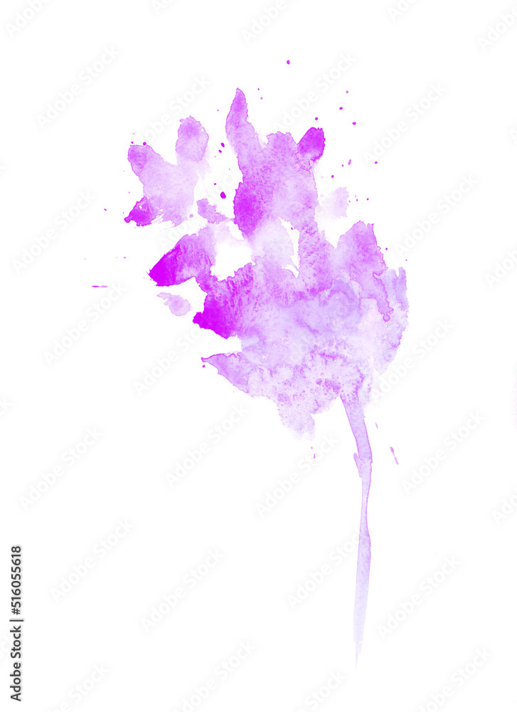 Obraz premium colorful beautiful watercolor flower on a white background