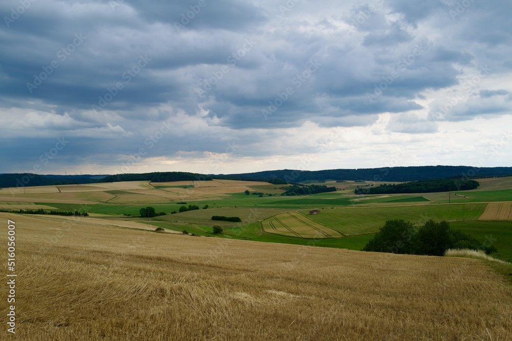 landscape with field and blue cloudy sky