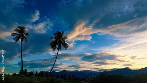 Fototapeta Naklejka Na Ścianę i Meble -  Evening Time Blue Sky With Coconut Tree