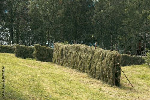 Traditional haystacks at Valdres Folk Museum, Oppland, Norway. photo