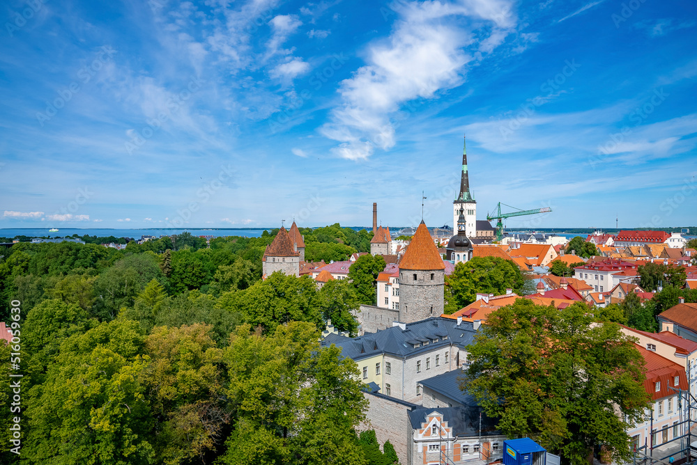 High angle view of gothic church amidst red roof houses. Scenery of old historic townscape in Tallinn. Beautiful medieval capital city by Baltic sea against blue sky.