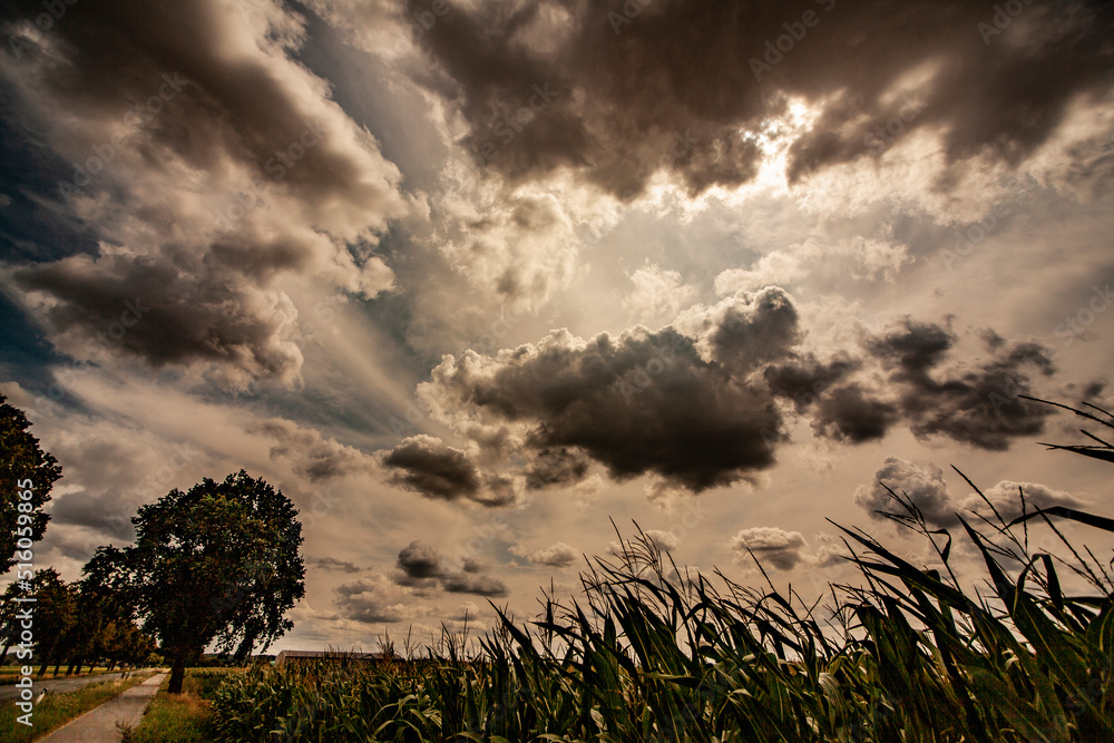 clouds with field and trees - mood - clouds stripes - nature - outside - light