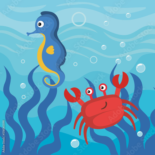 crab with horsefish sealife