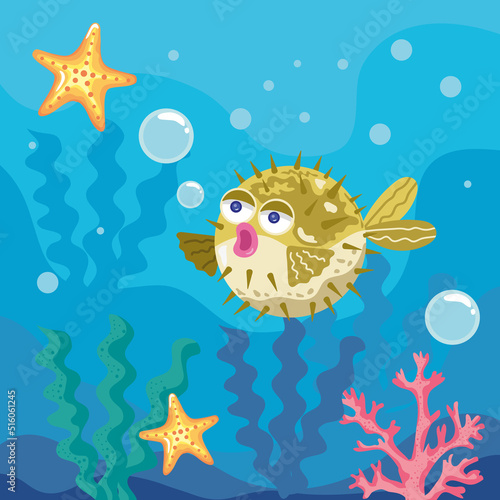 blowfish with starfishes sealife