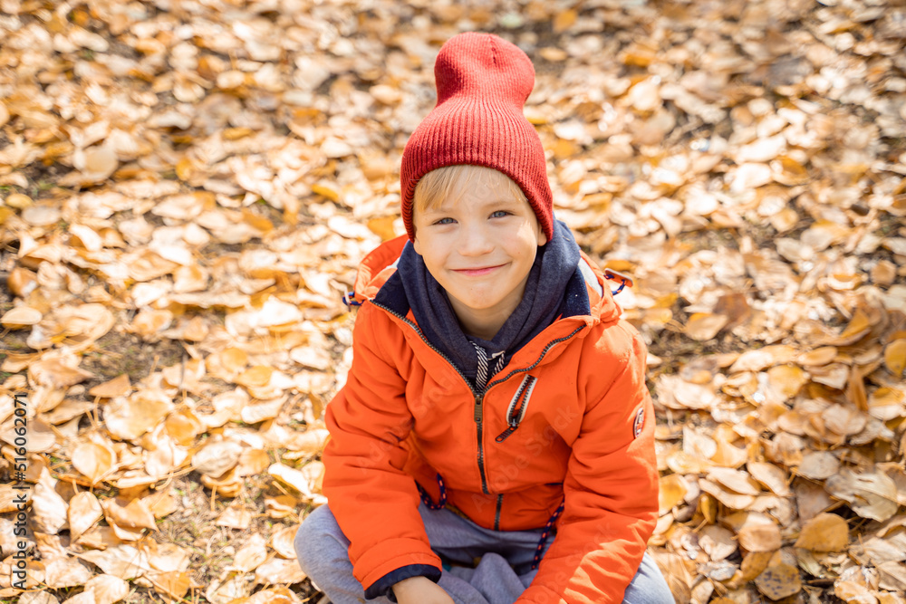 Child in an orange jacket sitting on the fallen leaves in the autumn forest. Rest in the fall in nature. Child in an orange jacket sitting on the fallen leaves in the autumn forest. Rest in the fall in nature.