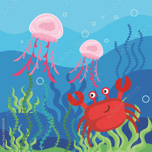 crab with jellyfish sealife