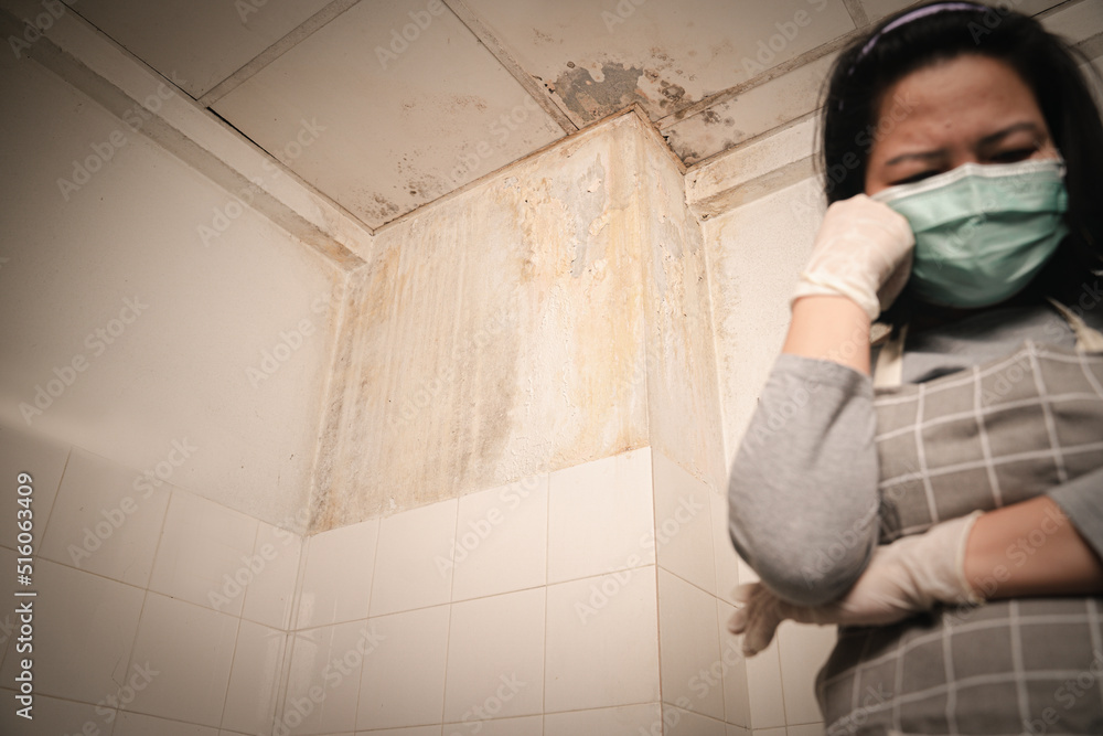 Stains,Mold or fungus of the wall in the Shower room causing black or brown mold in the bathroom