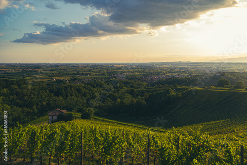 Colorful sunset in the vineyards of Savorgnano del Torre