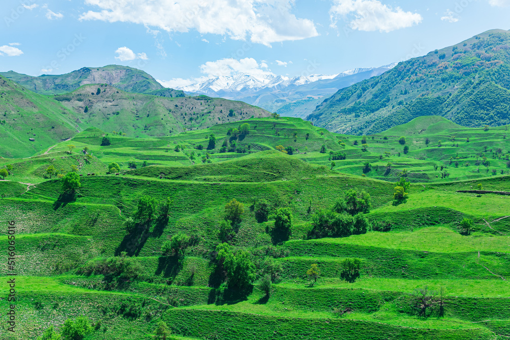 mountain valley panorama with green agricultural terraces on the slopes and snowy peaks in the distance