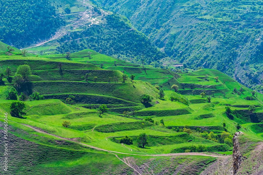 mountain landscape with green agricultural terraces on the slopes