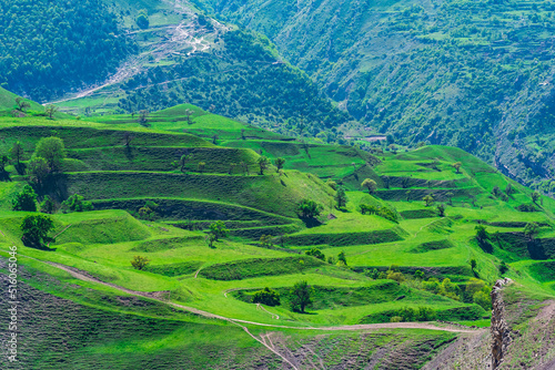 mountain landscape with green agricultural terraces on the slopes