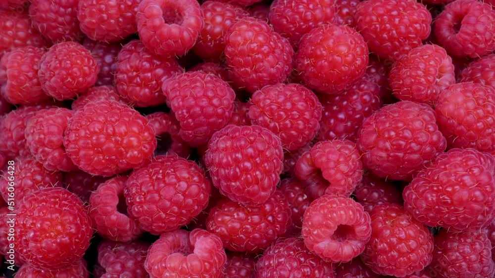 Fresh raspberry summer juicy fruits for a healthy diet. Organic raspberries for a healthy food and life concept. Dolly shot 4k background Fresh raspberry summer juicy fruits for a healthy diet. Organic raspberries for a healthy food and life concept. Dolly shot 4k background