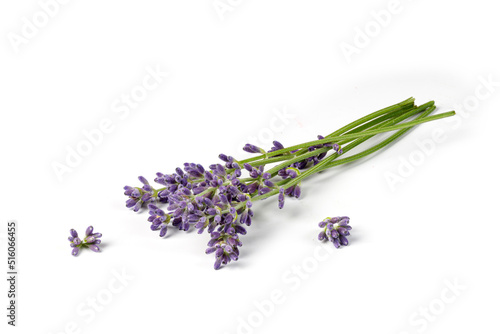 Lavender branch with purple flowers isolated on white background. Top view. Bouquet of lavender isolated.