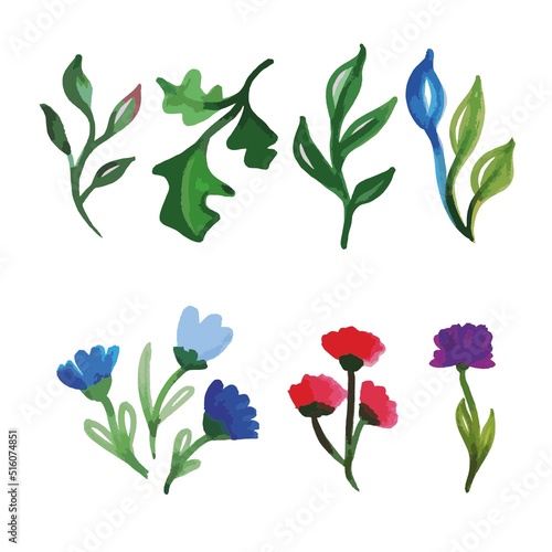 A set of watercolor plants  leaves and flowers. Blue vetas and pink-red. Vector watercolor. Petals and buds. Wildflowers.