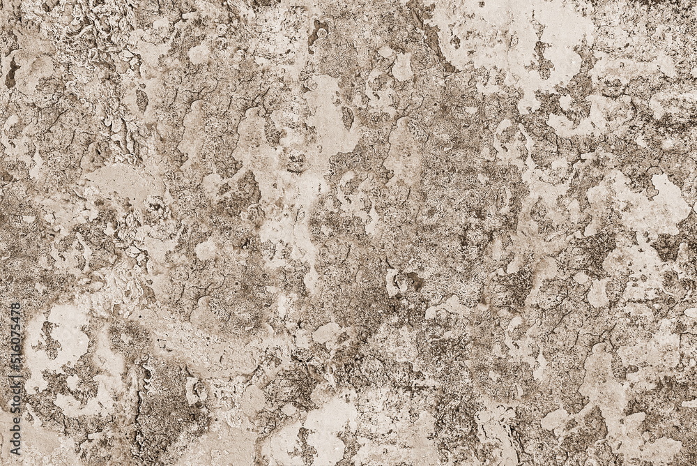 Sepia Aged Wall Texture. Old Damaged Wall Pattern. Weathered Surface with dirty Cracked Plaster. Outdoor or indoor. Sepia Horisontal Photo Sepia Aged Wall Texture. Old Damaged Wall Pattern. Weathered Surface with dirty Cracked Plaster. Outdoor or indoor. Sepia Horisontal Photo