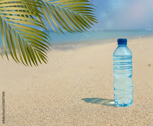 water bottle and palm tree on the beach near the sea