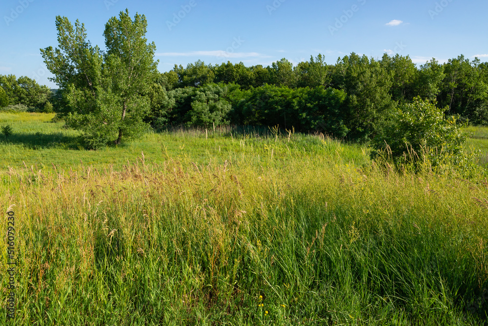 Landscape at Buffalo Rock State Park.