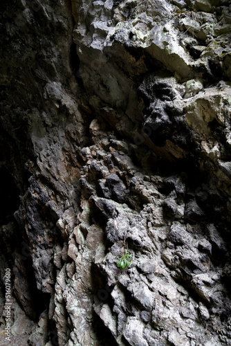 Creepy dark rough rock surface. Wet prehistoric grotto. Stone natural cave wall.