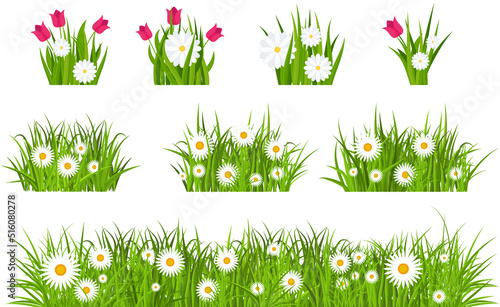 Grass, tulips and daises set. Green flowering meadow collection.