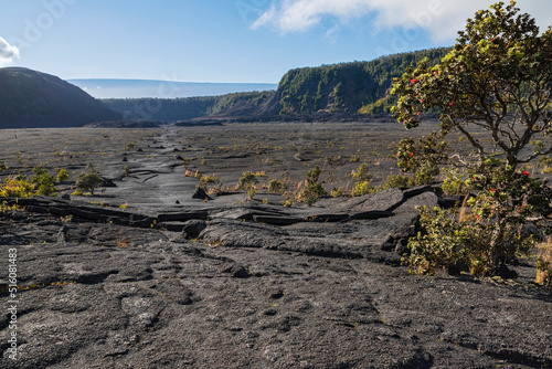 Quadro su tela atop dry lava bed of kilauea iki crater at hawaii volcanoes national park