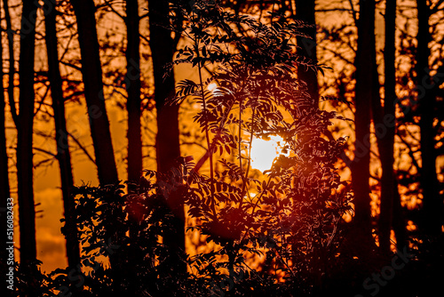 Fototapeta Naklejka Na Ścianę i Meble -  Zachód Słońca nad morzem