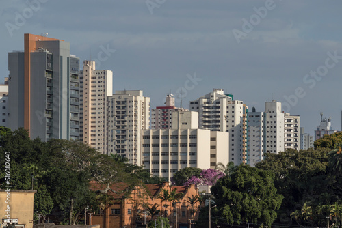 Urban landscape with commercial and residential buildings in the background  trees and old shed in the foreground  Piracicaba SP Brazil.