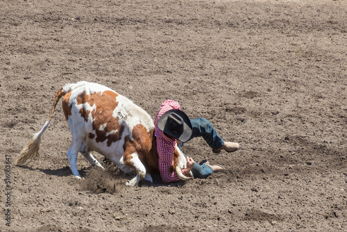 Фотография A Rodeo cowboy is wrestling a steer to the ground in a steer wrestling event at a rodeo
