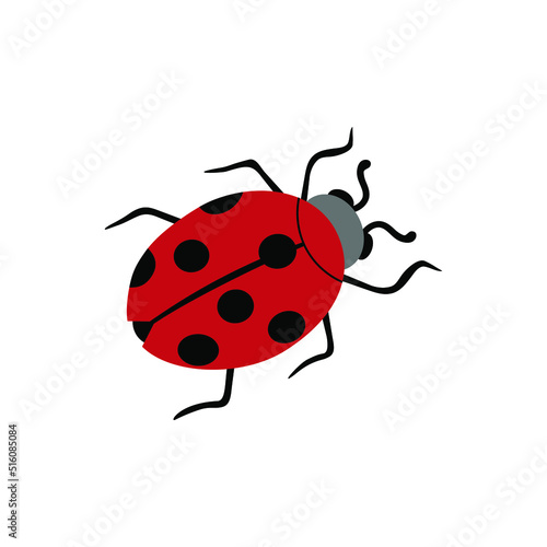 ladybug on white background,illustration,wildlife beetle,red color, red with black spots.Insect of meadows, fields and grasses.