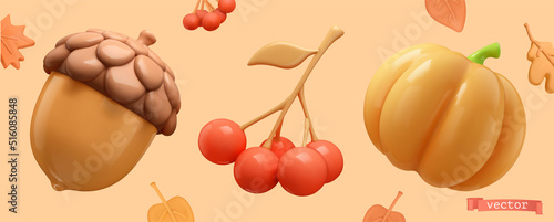 Autumn. Acorn, rowan bunch, pumpkin 3d vector icon