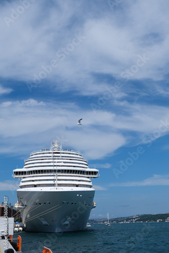 A cruise ship docked in port at Karakoy in Istanbul on a cloudy day. A bird is flying above cruise. 