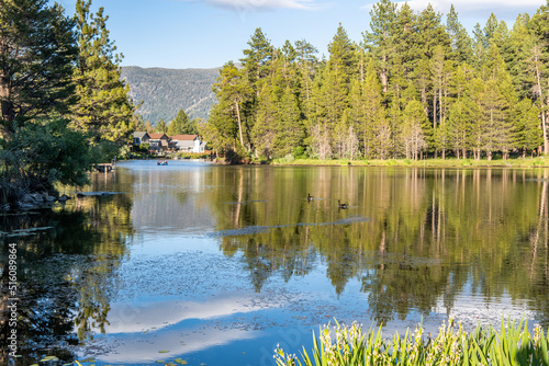 Fototapeta Naklejka Na Ścianę i Meble -  Pond in South Lake Tahoe