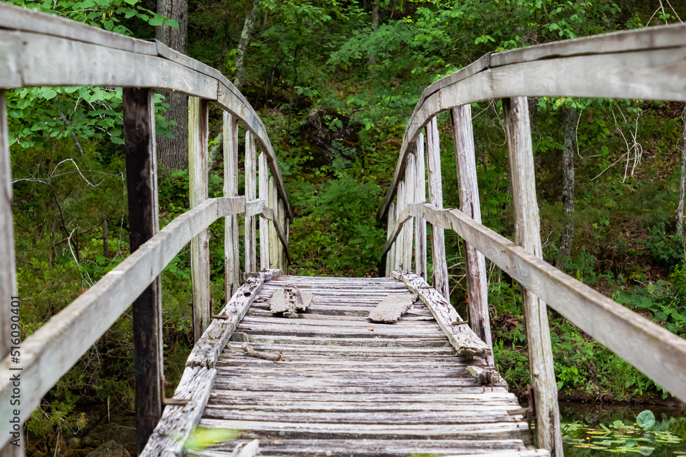 A wooden bridge in a forest setting A wooden bridge in a forest setting