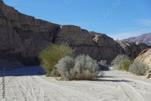 Anza-Borrego State park, CA