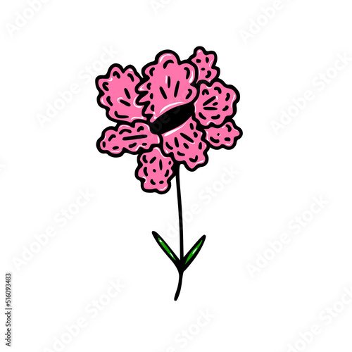 Doodle hand drawn flower. Vector illustration