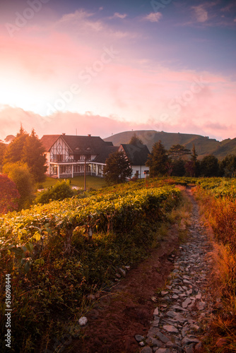 autumn landscape in the mountains