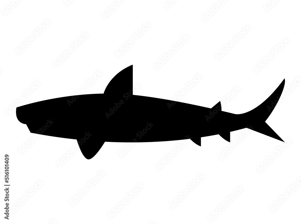 shark fish silhouette