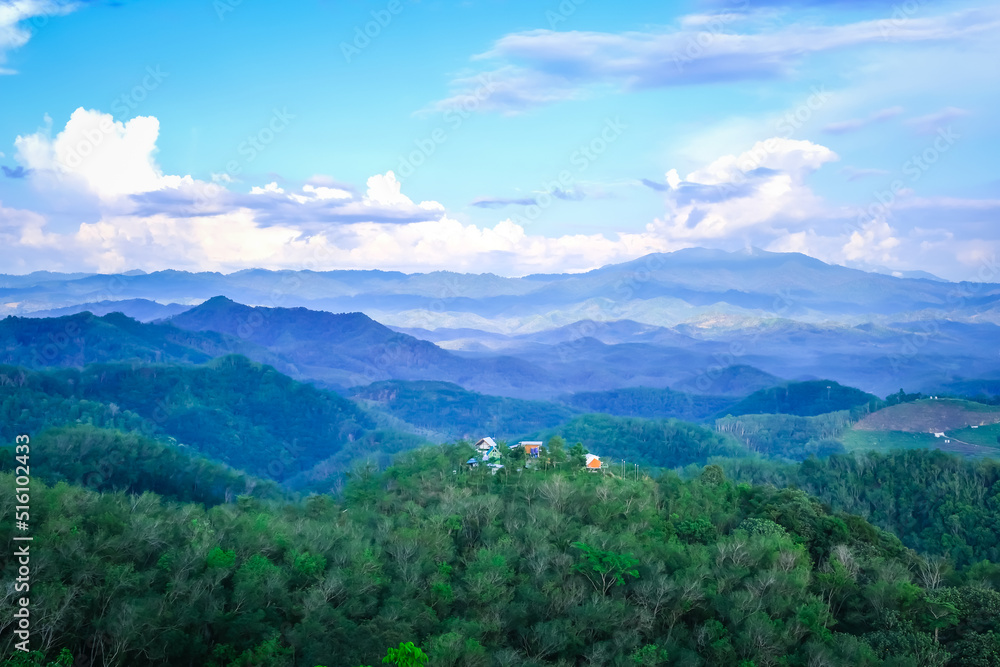 Obraz premium Landscape of misty mountains of Mt.Gunung Silipat Betong,Yala,Thailand. View of coniferous forest, layers of mountain and haze in the hills at distance. Tourism and traveling concept.