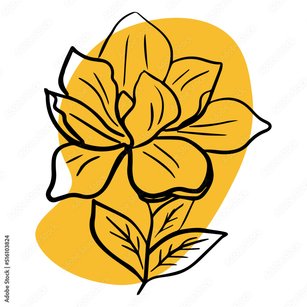 Fototapeta premium Trendy flower vector rose