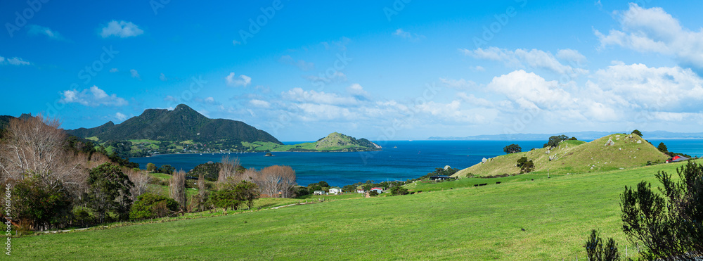 Obraz premium ニュージーランド ファンガレイ・ヘッズにあるマナイア山