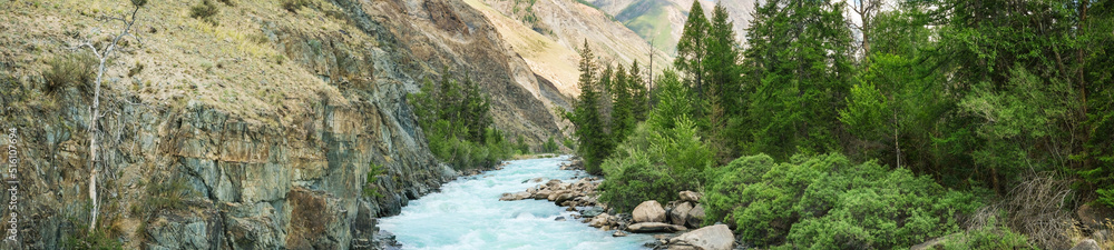Beautiful panoramic landscape of mountain river with rocky banks and green forest, banner format