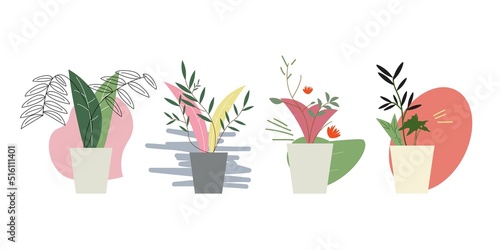 Set abstract floral in background isolated on white. Abstract background of flower on pot isolated on white. flower on pot. Vector