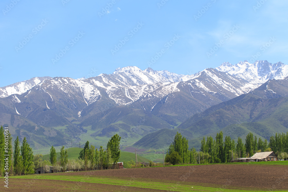 Beautiful spring and summer landscape. Lush green hills, high mountains. Spring blooming herbs.